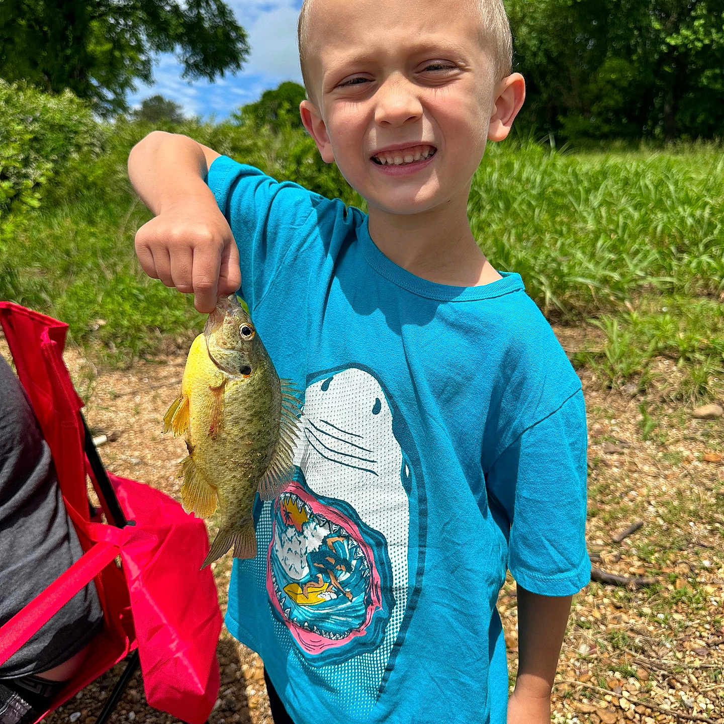 Michael joined the competition — help win amazing prizes! animal, boy, child, clothing, face, fish, grass, head, male, nature, outdoors, park, person, photography, plant, portrait, sealife, summer, t_shirt, vegetation