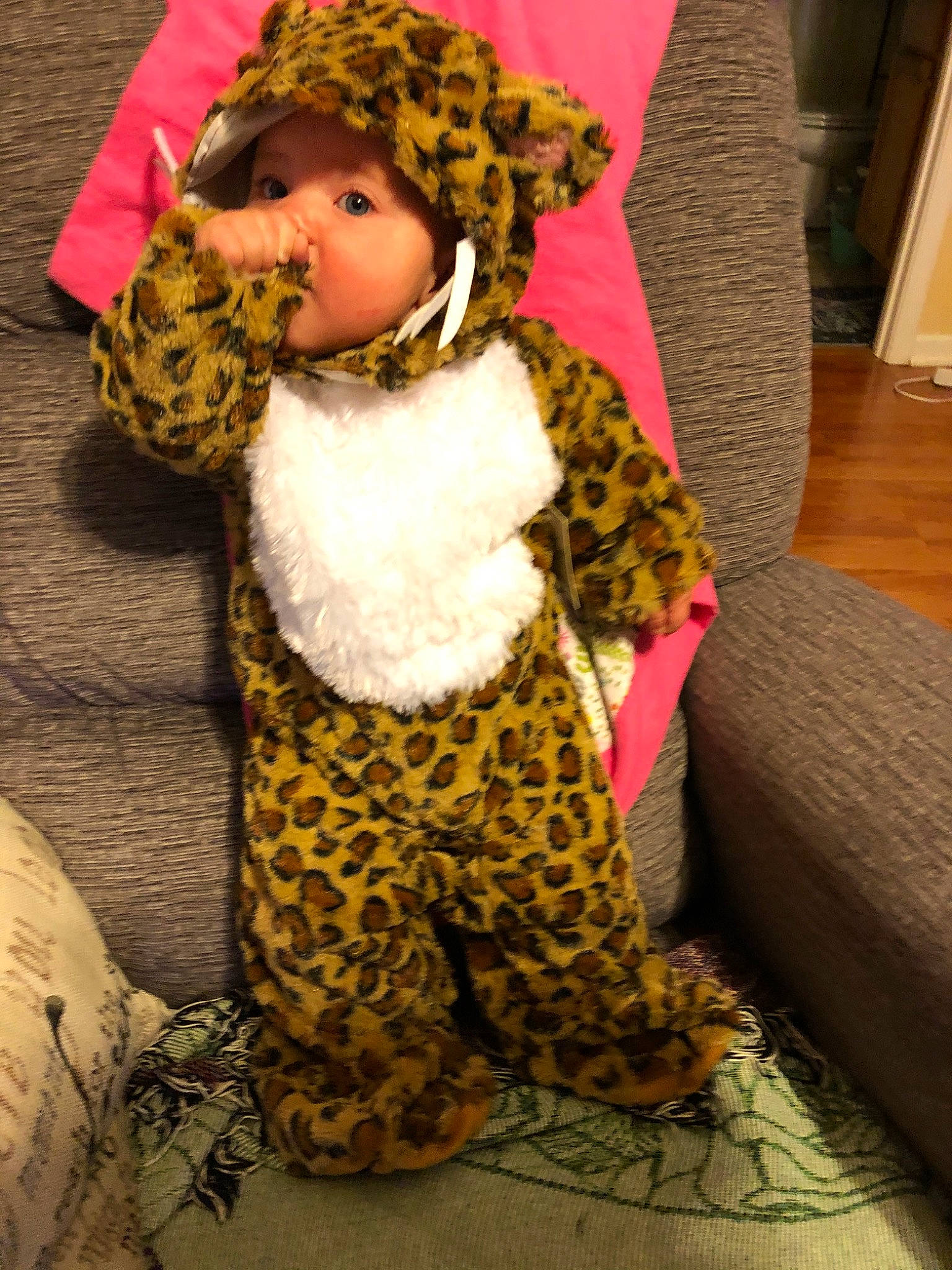 Sylvia is registered to the contest to win money with this photo: child, fawn, fur, headwear, outerwear, person, toddler, toy