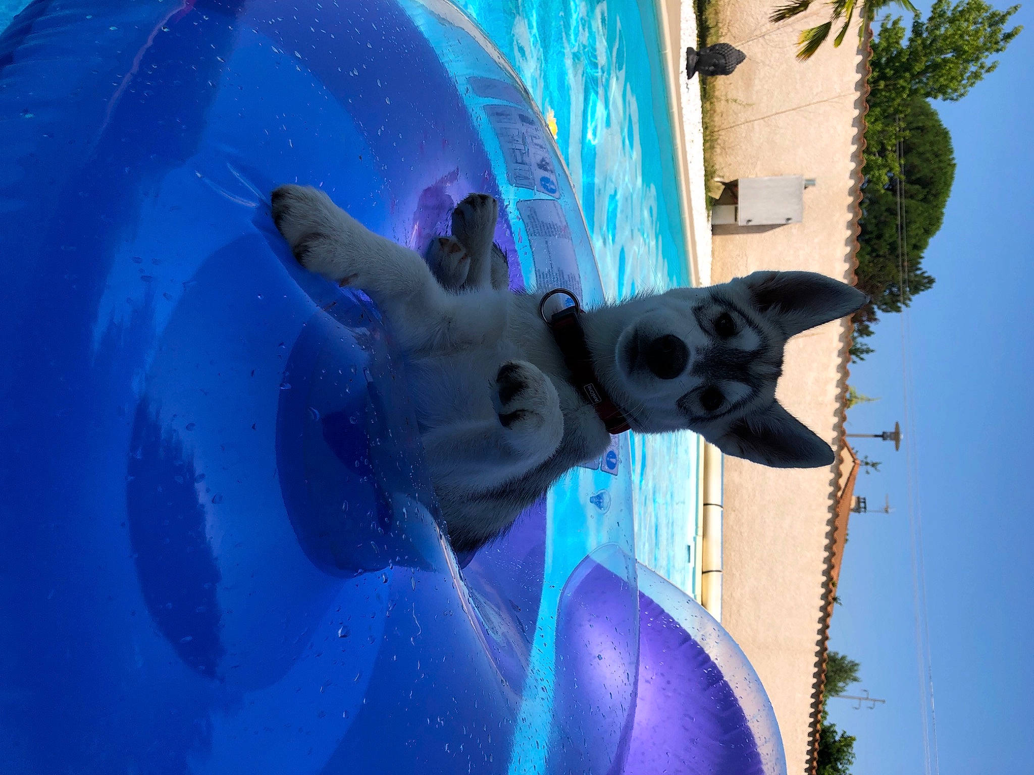 Soho a rejoint le concours — aidez-le/la à gagner de superbes lots ! animation, art, azure, blue, building, electric_blue, fictional_character, fun, games, leisure, magenta, personal_protective_equipment, purple, recreation, sculpture, sky, tree, vacation, water, world