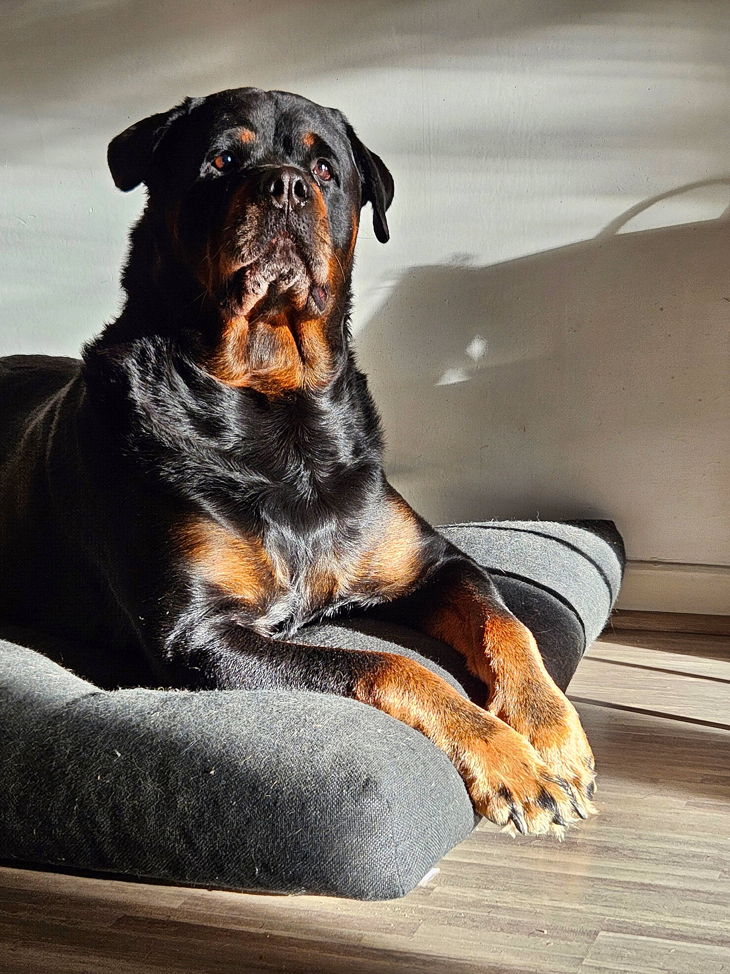Lou