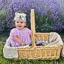 baby, child, basket, lavender, flowers, grass, purple_dress, lace_bow, smiling, outdoor, nature, greenery, cute, portrait, sitting, wicker, fabric, sunlight, happy, flower_field