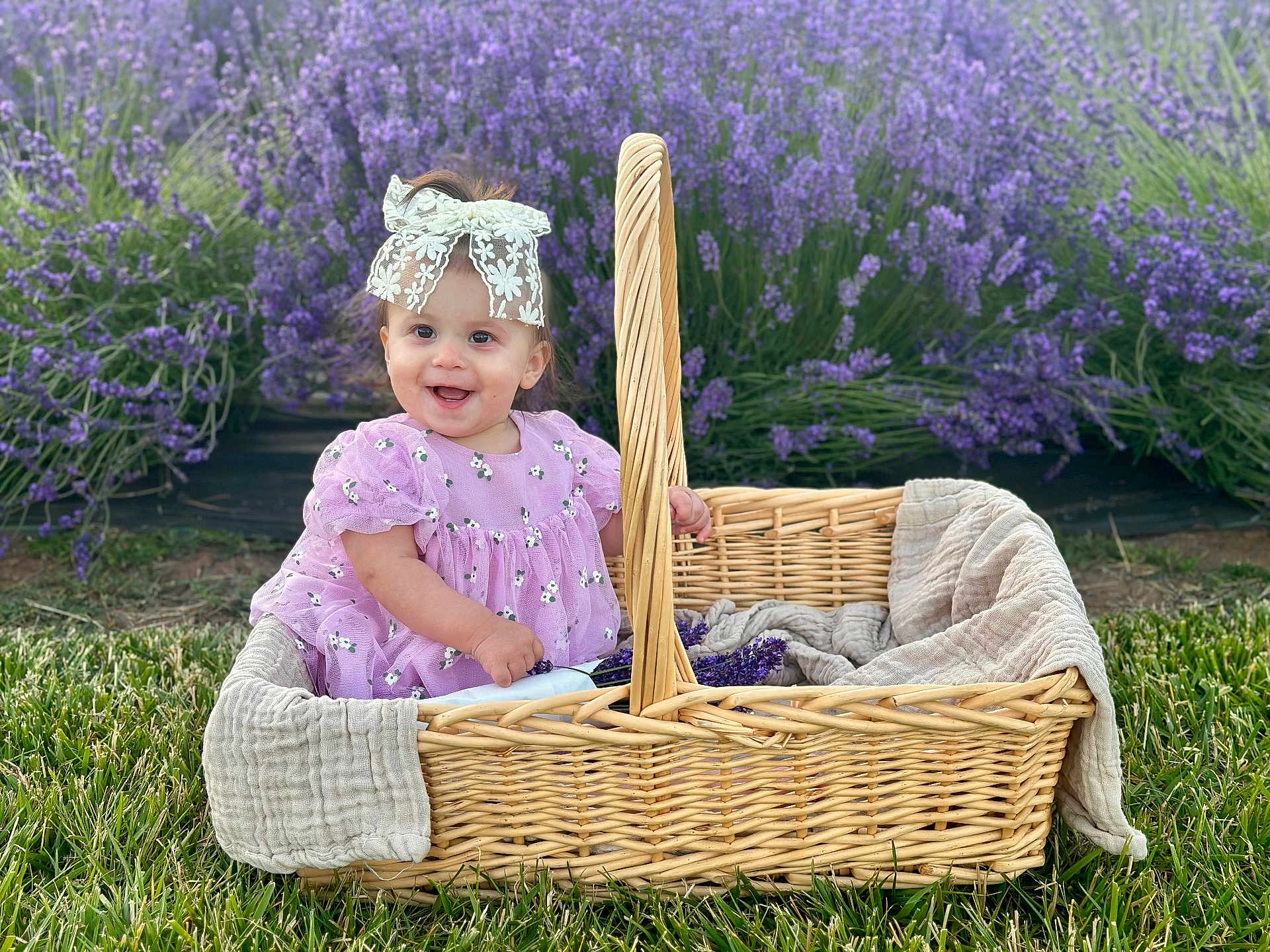 Gianna is registered to the contest to win money with this photo: baby, child, basket, lavender, flowers, grass, purple_dress, lace_bow, smiling, outdoor, nature, greenery, cute, portrait, sitting, wicker, fabric, sunlight, happy, flower_field