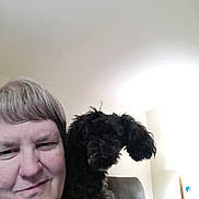 Nugget is registered to the contest to win money with this photo: animal, architecture, baby, building, canine, couch, dog, face, furniture, head, indoors, livingroom, person, pet, photography, poodle, portrait, puppy, room, terrier