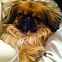 Harley Davidson is registered to the contest to win money with this photo: