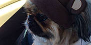 Harley Davidson is registered to the contest to win money with this photo: