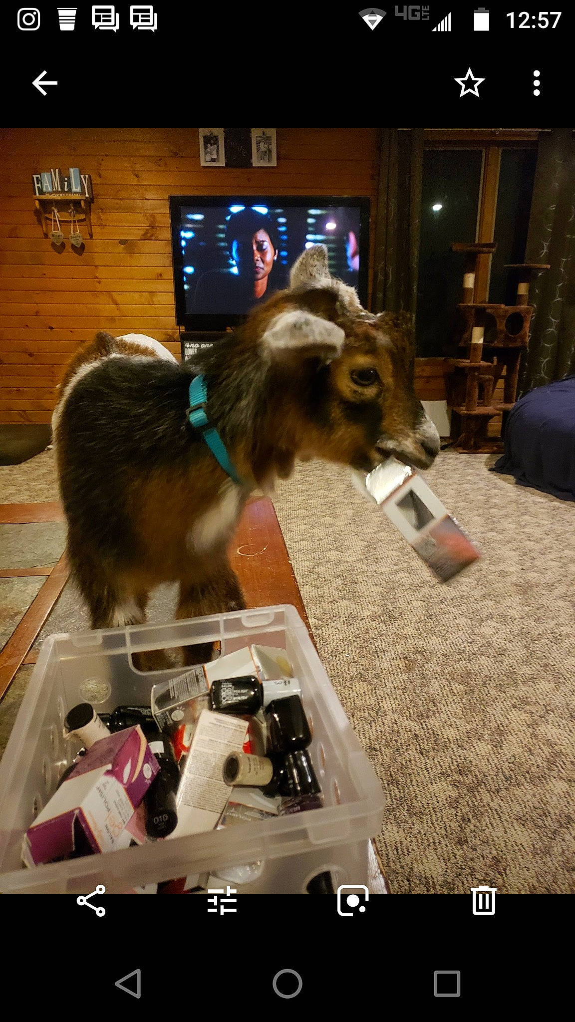 Baby Neo is registered to the contest to win money with this photo: advertising, person, photo_caption, screenshot, snout, technology