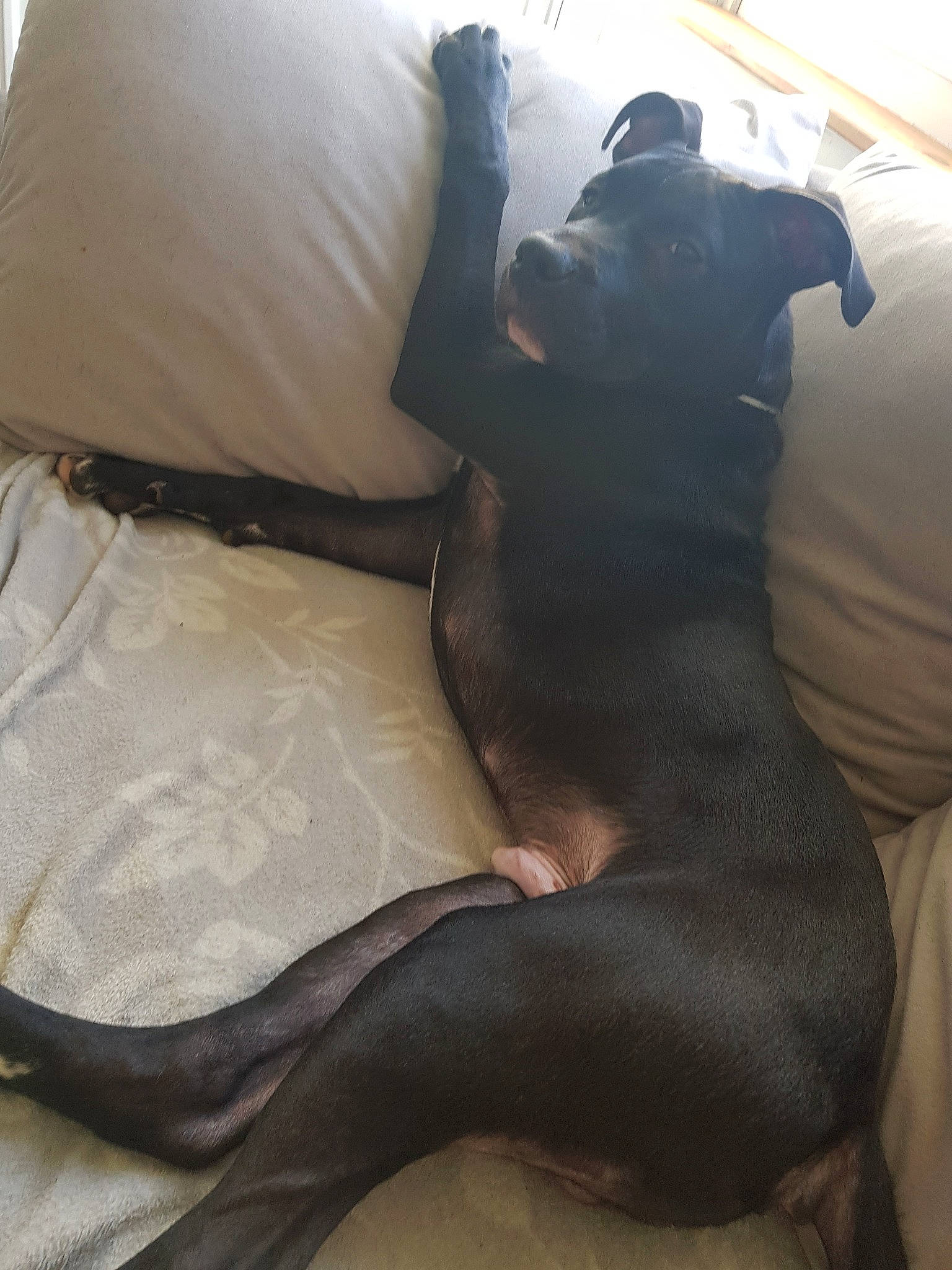 Kirua participe au concours pour gagner de l'argent avec cette photo : comfort, footwear, leather, leg, linens, spandex, textile, trousers