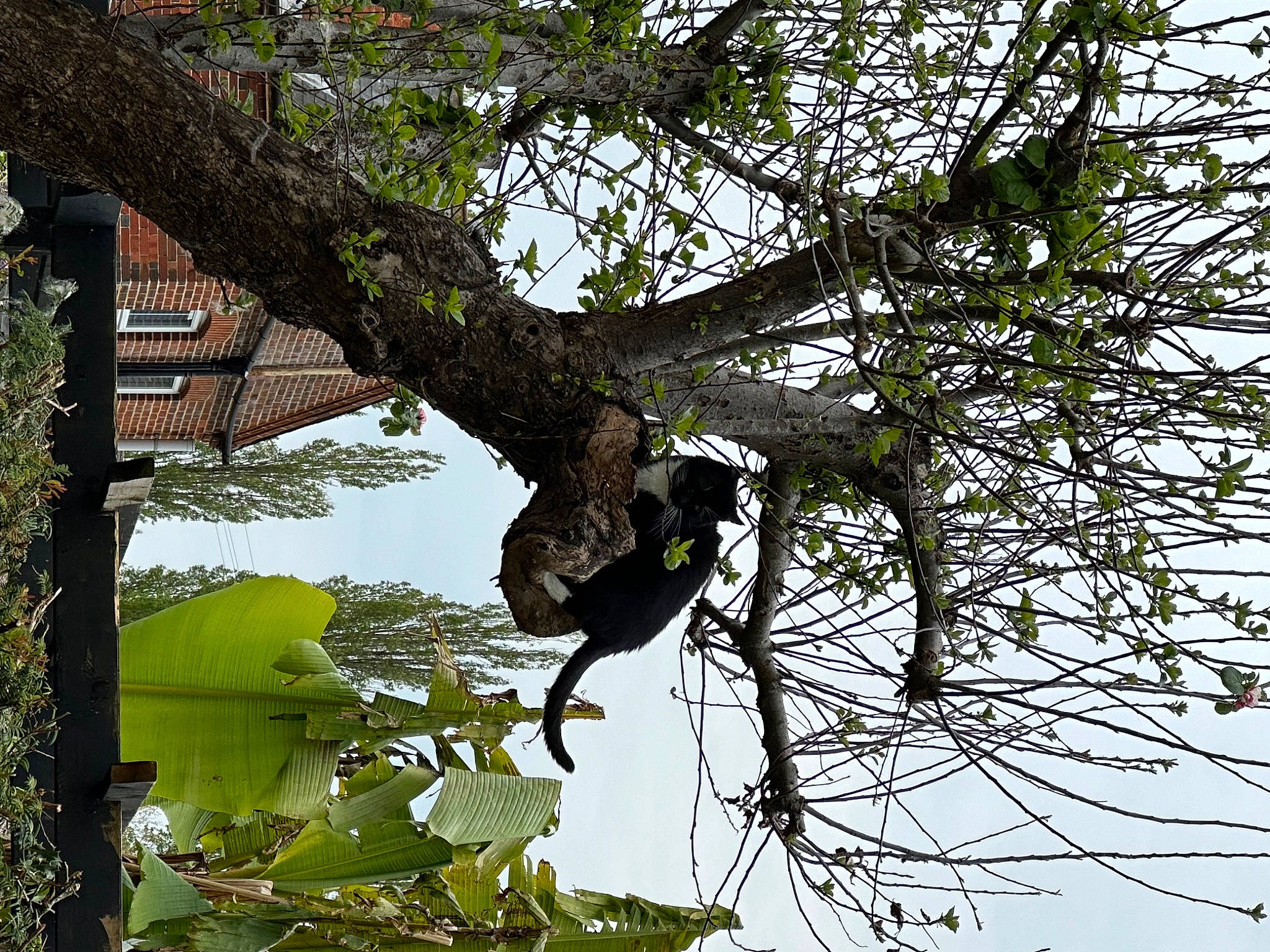 The Colonel is registered to the contest to win money with this photo: beak, building, grass, lake, plant, plant_stem, sky, tints_and_shades, tree, trunk, twig, wildlife, wood