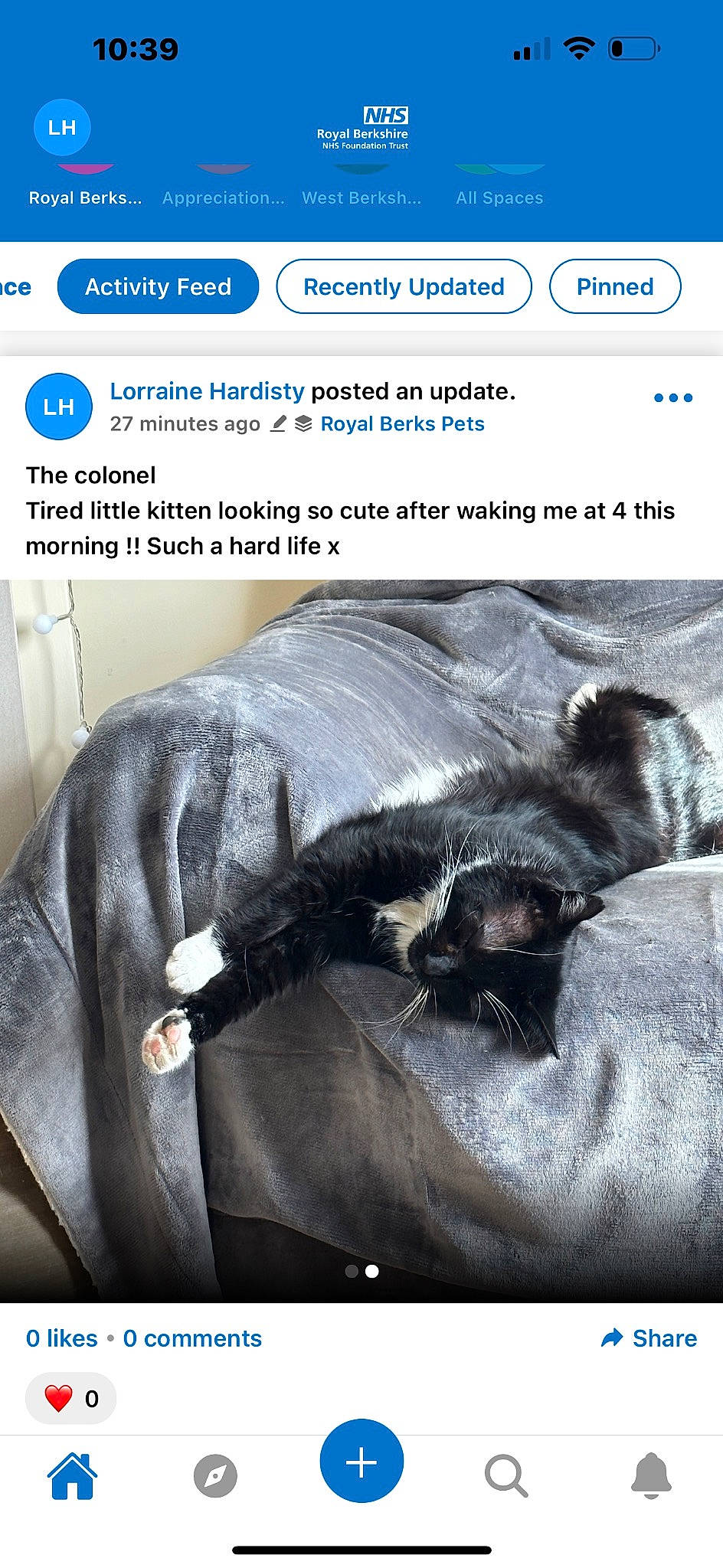 The Colonel joined the competition — help win amazing prizes! advertising, brand, carnivore, cat, comfort, companion_dog, felidae, font, fur, gadget, multimedia, organism, output_device, photo_caption, screenshot, sleeve, small_to_medium_sized_cats, technology, web_page, whiskers