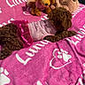 Luna is registered to the contest to win money with this photo: animal, bed, blanket, brown, clothing, comfort, cute, dog, dress, fabric, fur, indoor, lying_down, pet, pink, plush, puppy, soft, stuffed_animal, toy