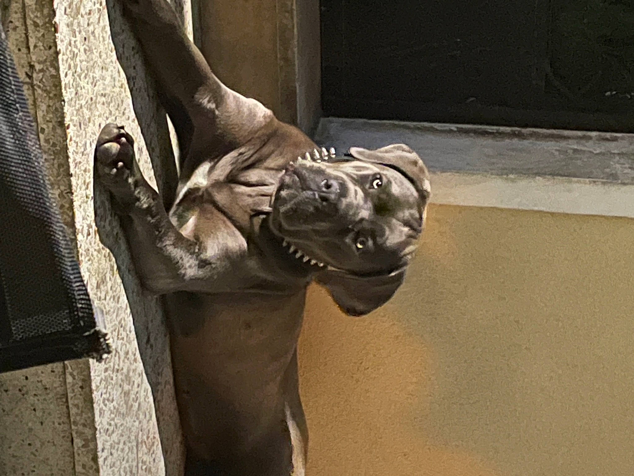 Rym participe au concours pour gagner de l'argent avec cette photo : art, artifact, classical_sculpture, elbow, finger, foot, gesture, grey, hand, human_body, human_leg, jaw, metal, monument, religious_item, sculpture, statue, trunk, water, wood