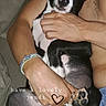 arm, black_and_white, bracelet, casual, close_up, comfort, couch, cute, dog, hand, heart, indoor, love, paw, person, pet, puppy, relax, shirtless, text_overlay