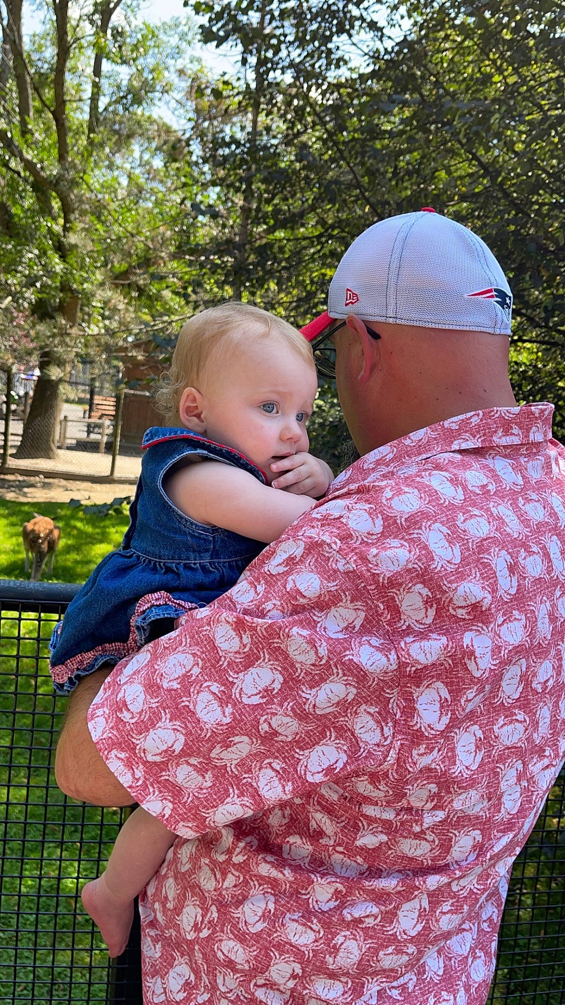 Lily joined the competition — help win amazing prizes! baby, baby_toddler_clothing, baseball_cap, cap, child, event, fun, gesture, grass, hairstyle, happy, interaction, leisure, people_in_nature, person, pink, plant, recreation, red, toddler
