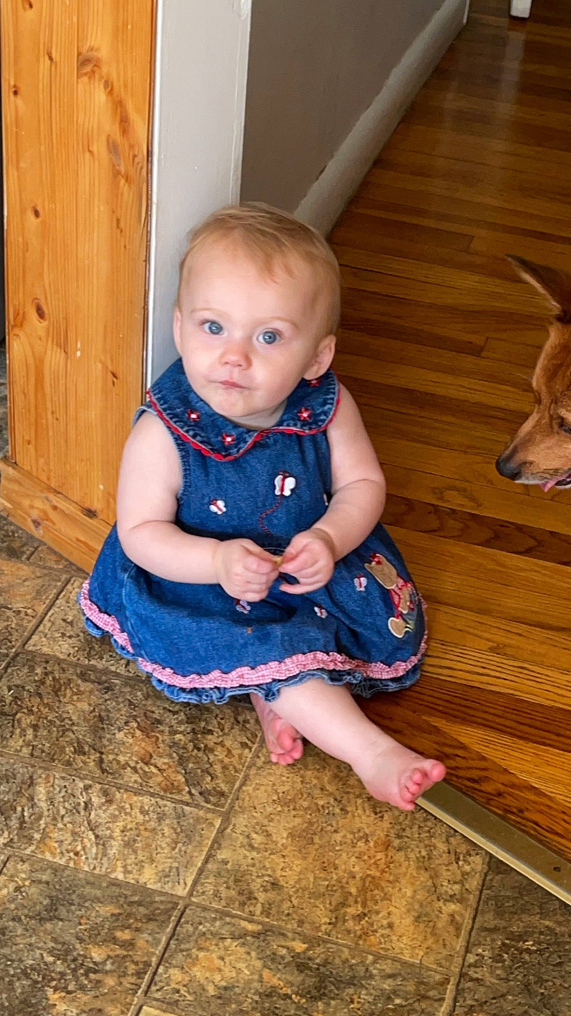 Lily joined the competition — help win amazing prizes! baby_toddler_clothing, door, dress, eye, face, facial_expression, finger, floor, flooring, hairstyle, hand, head, human_body, iris, person, purple, skin, sleeve, standing, toddler