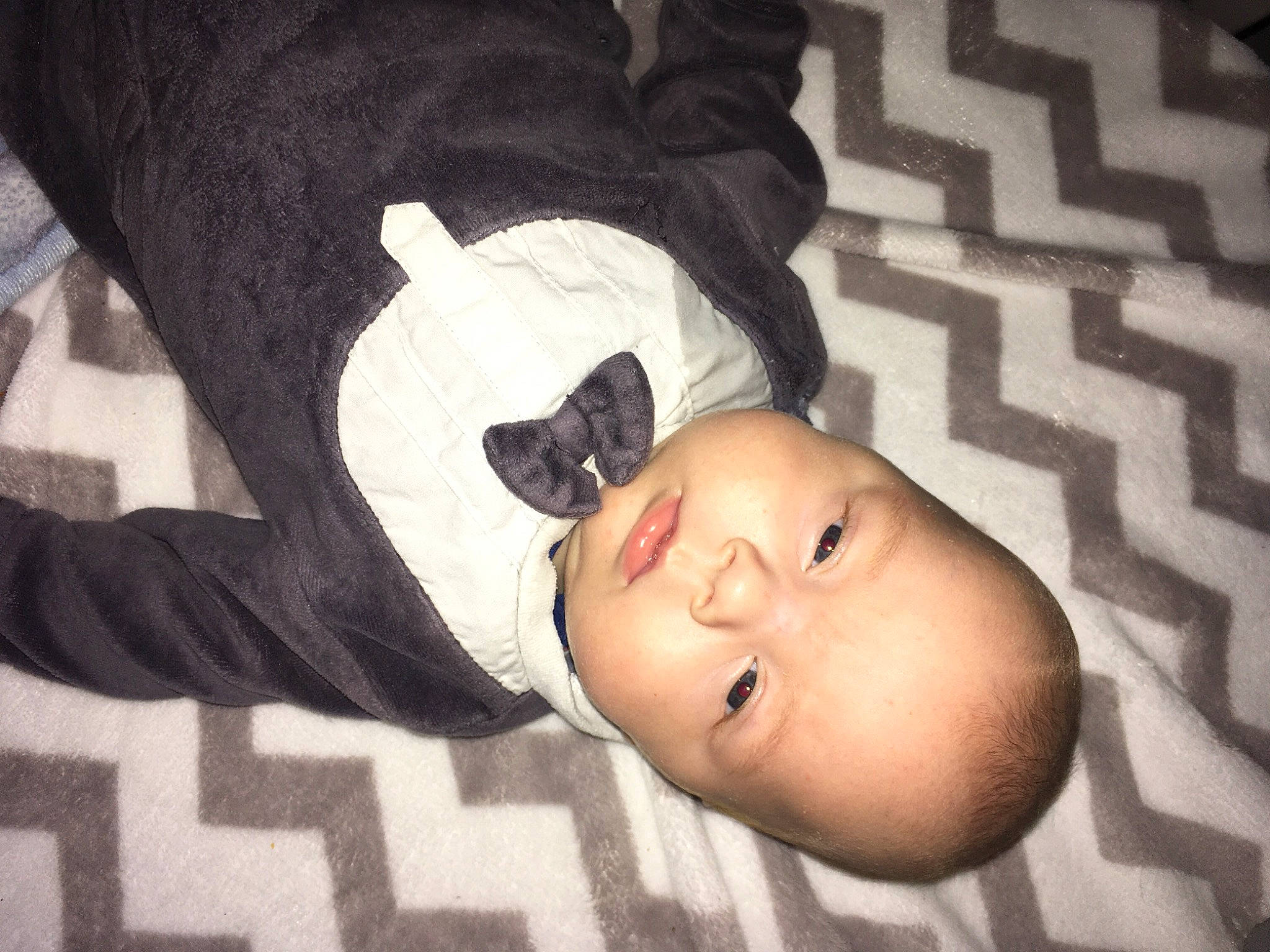 Ninho a rejoint le concours — aidez-le/la à gagner de superbes lots ! arm, baby, baby_products, baby_toddler_clothing, cheek, child, comfort, eye, eyebrow, fur, iris, linens, nose, pattern, person, sleep, sleeve, textile, toddler, tree