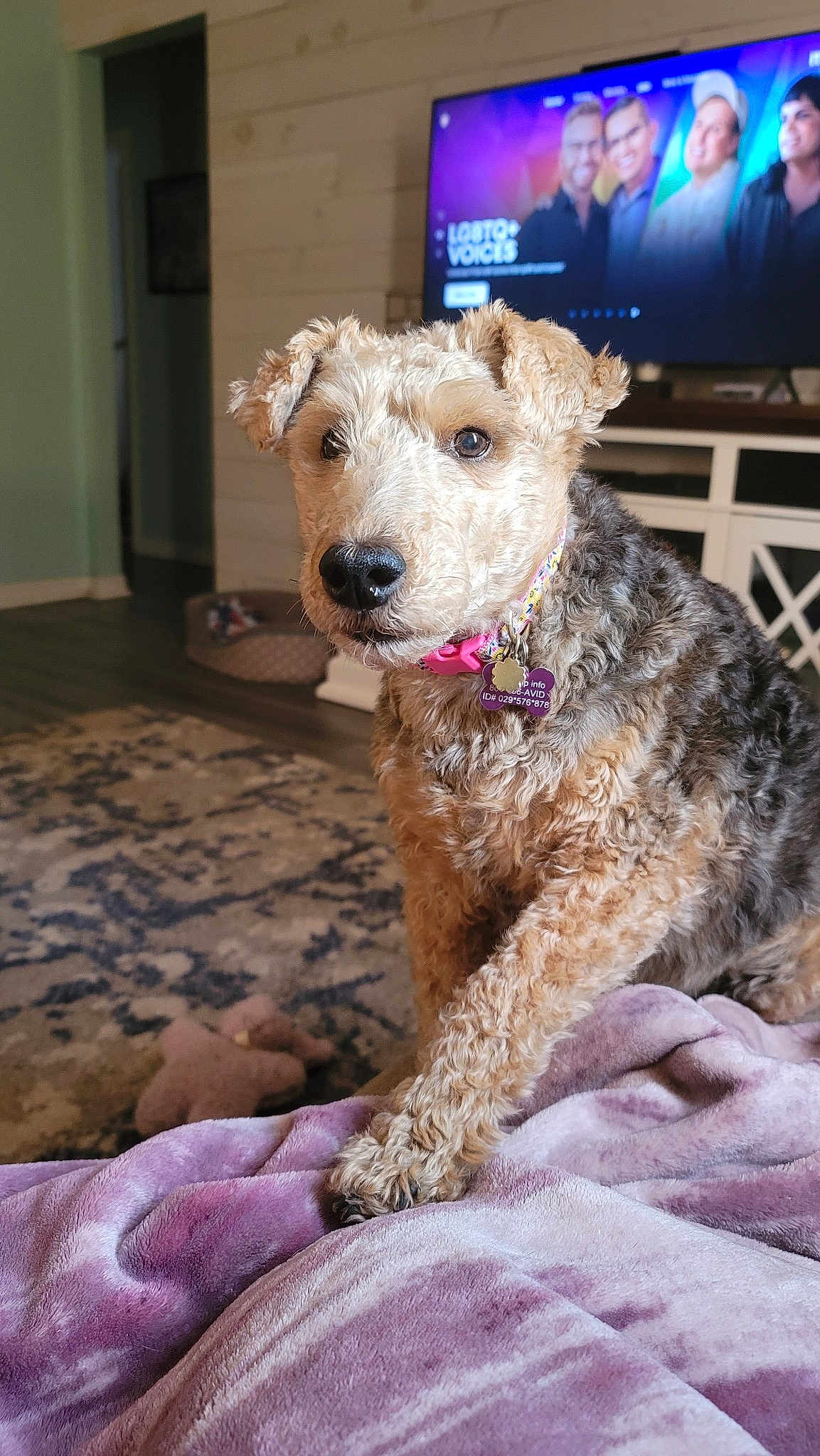 Sadie