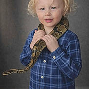 Abe joined the competition — help win amazing prizes! child, boy, portrait, snake, ball_python, pet, blue_plaid_shirt, curly_hair, blond, studio_background, smile, hands, animal, cute, young_child, indoor, casual_clothing, neutral_backdrop, photography, reptile