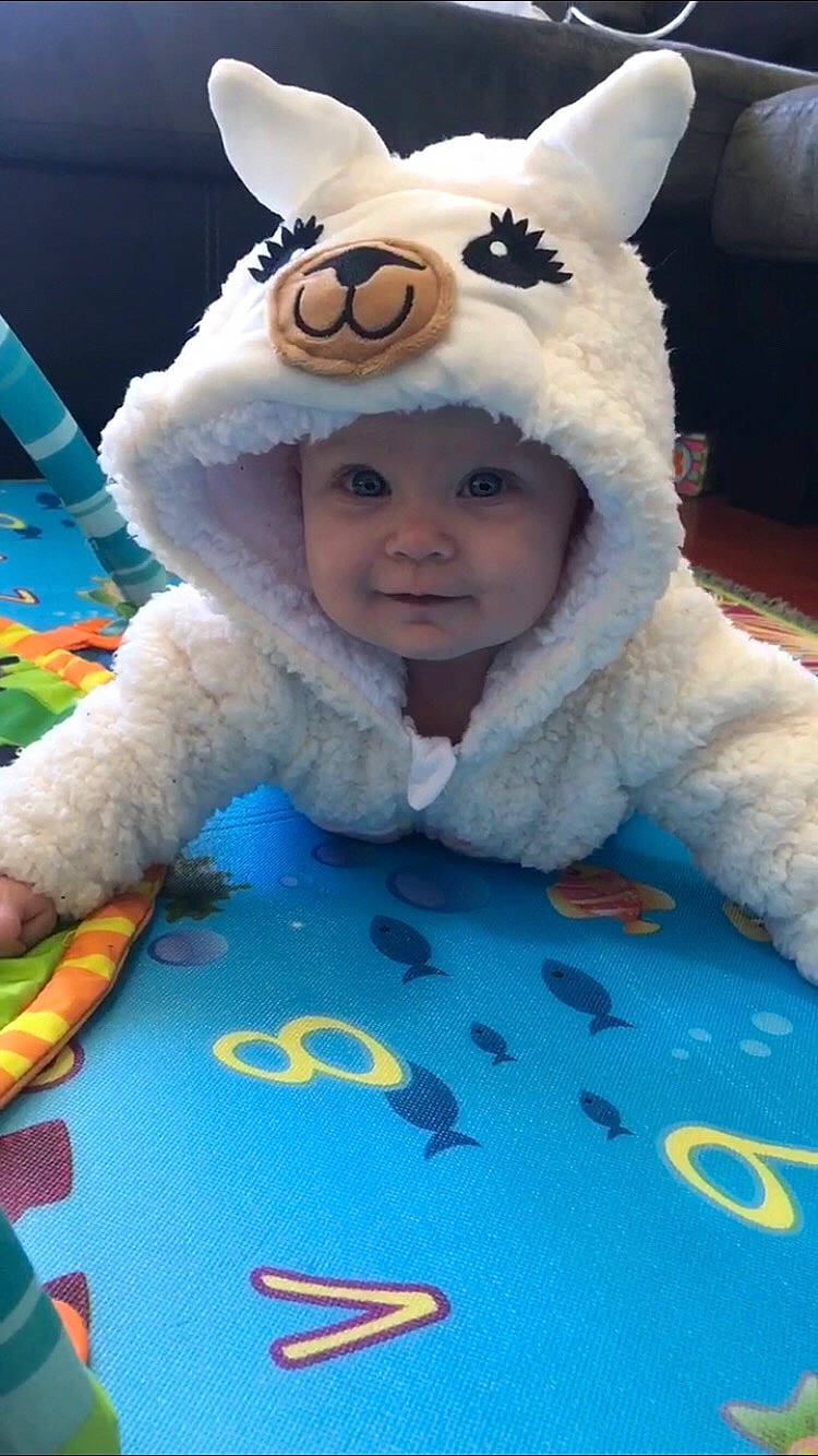 Indigo is registered to the contest to win money with this photo: baby, child, fun, headwear, person, plush, stuffed_toy, toddler