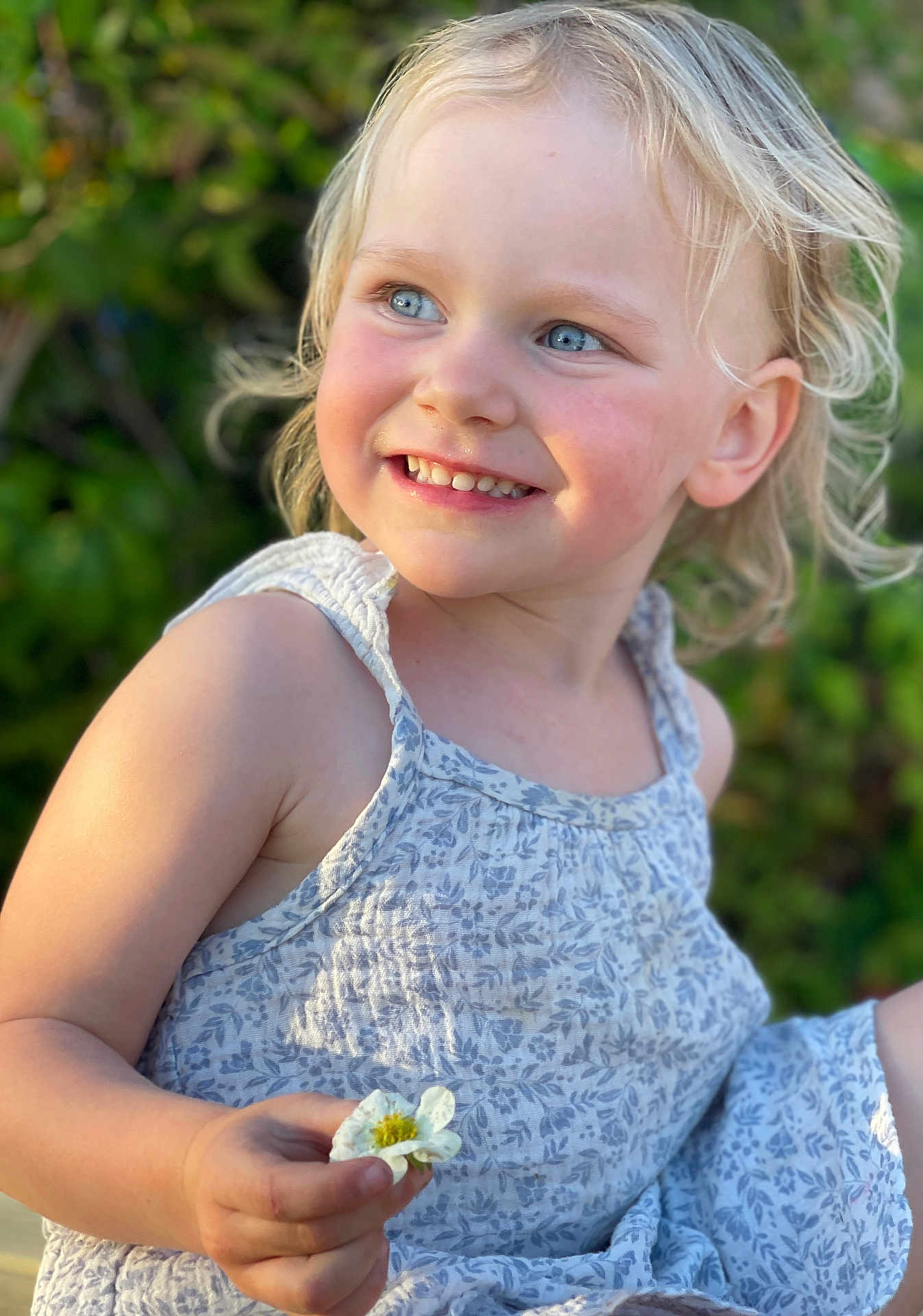 Paislee joined the competition — help win amazing prizes! toddler, child, smiling, flower, blonde_hair, blue_eyes, outdoor, nature, greenery, summer, sunlight, dress, happy, cute, portrait, closeup, holding, person, young, skin