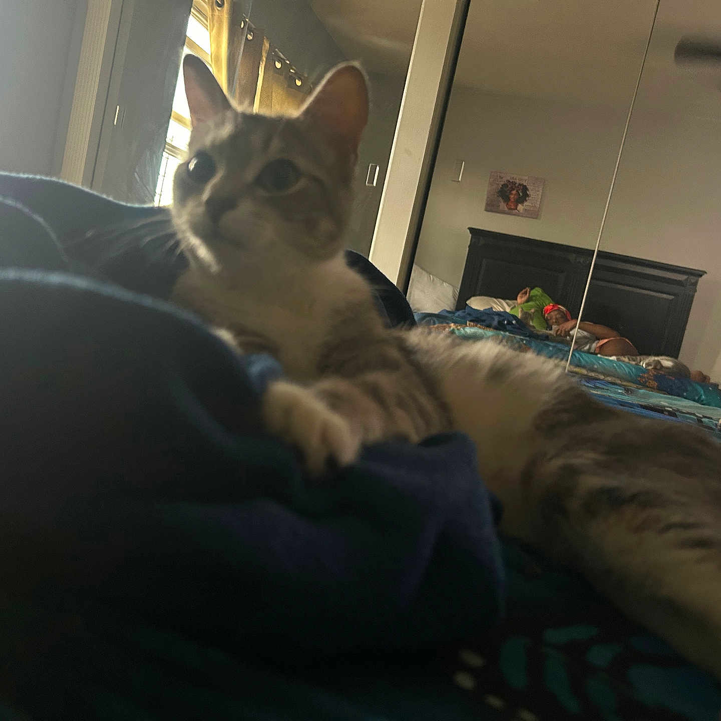 Hazel