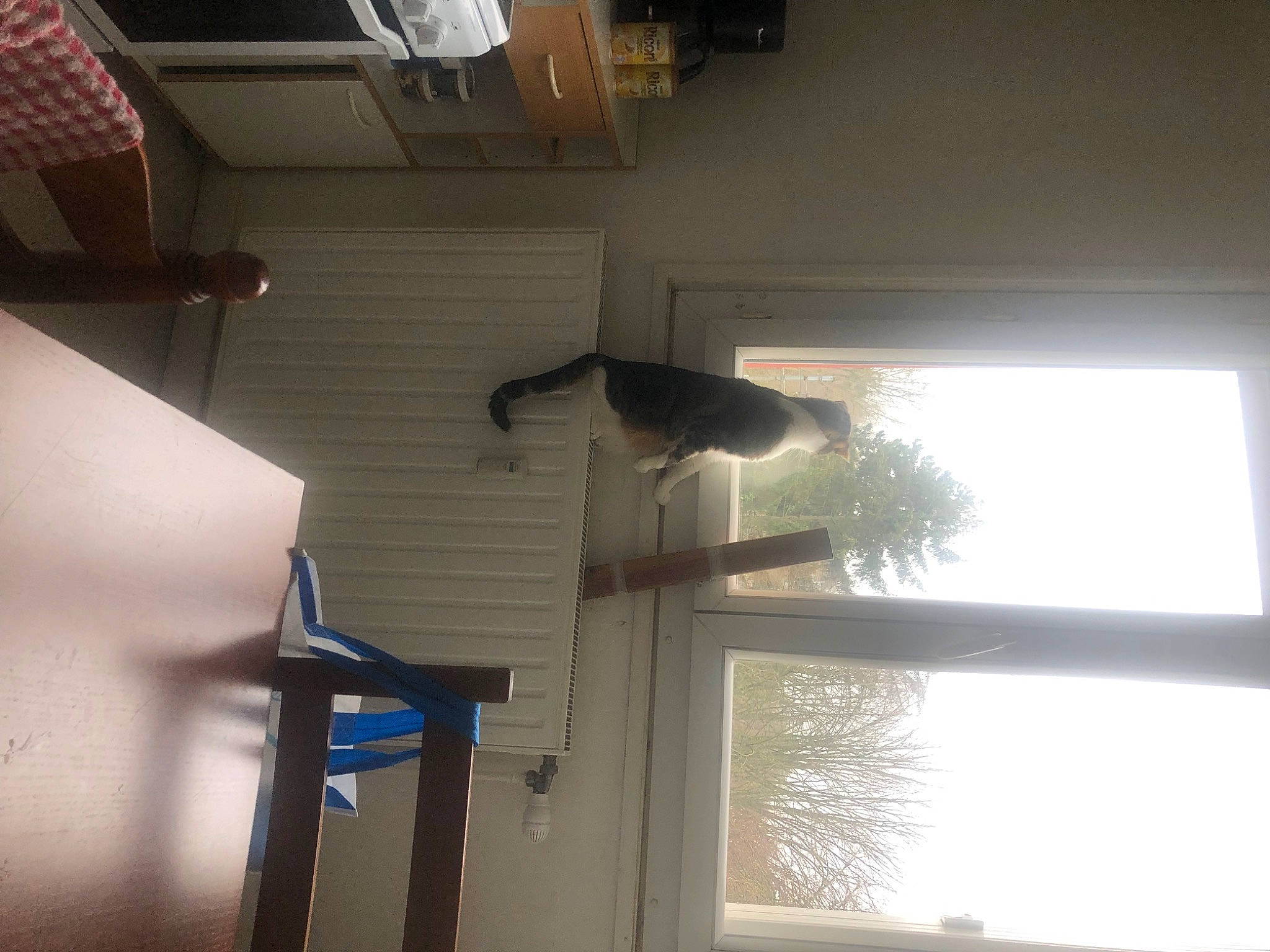 Minou a rejoint le concours — aidez-le/la à gagner de superbes lots ! architecture, building, ceiling, door, fixture, glass, hardwood, house, interior_design, property, room, sash_window, shade, shadow, tints_and_shades, tree, water, window, window_treatment, wood