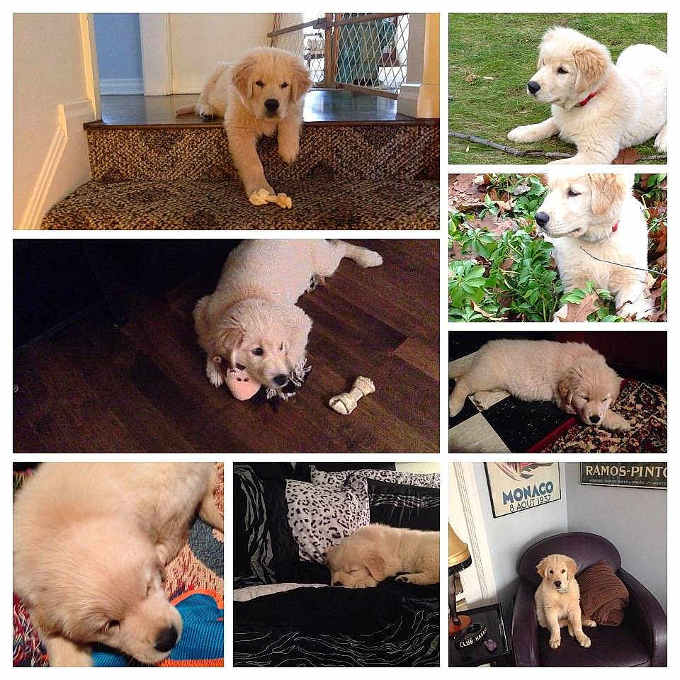 Cooper joined the competition — help win amazing prizes!