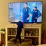 Rick joined the competition — help win amazing prizes! dog, black_dog, tv, television, police_officers, living_room, dog_bed, furniture, cabinet, books, plant, wood_floor, rug, indoor, pet, watching_tv, white_cabinet, decor, standing_dog, home