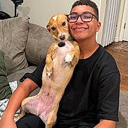 Hazel Grace joined the competition — help win amazing prizes! black_clothing, blanket, brown_dog, carpet, collar, couch, dog, door, furniture, glasses, hand, happy, indoor, person, pet, relaxed, short_hair, smiling, wall, wood_floor