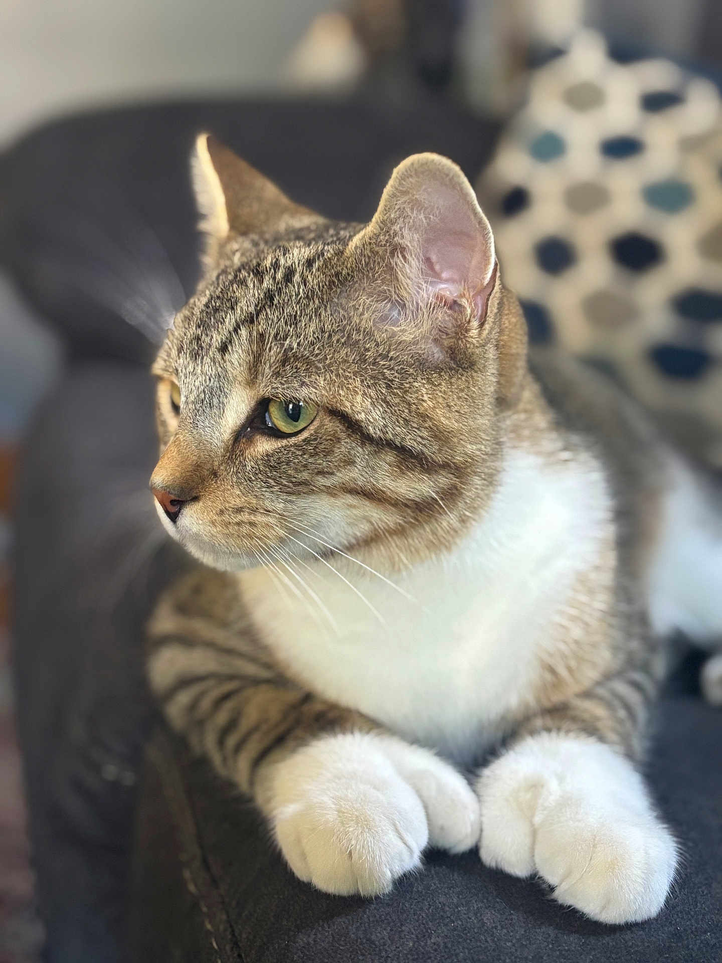 Max