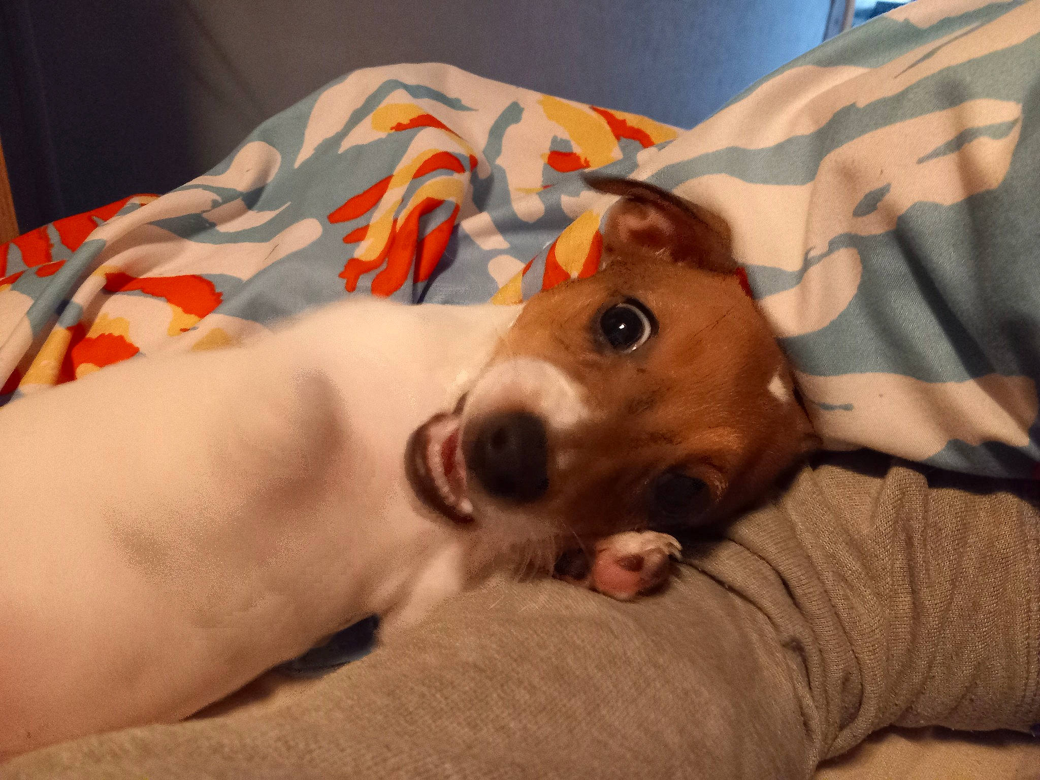 Nala