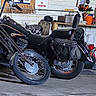 Princess joined the competition — help win amazing prizes! cat, motorcycle, garage, tools, license_plates, concrete_floor, black_motorcycle, gray_cat, workshop, air_conditioner, shelf, orange_bucket, wooden_wall, metal_objects, sign, seat, handlebars, wheel, leather_saddlebag, clutter