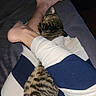 animal, bed, blanket, casual, cat, comfort, cozy, fur, home, human, indoor, legs, paw, person, pet, relaxing, resting, sleeping, striped_clothing, tabby_cat