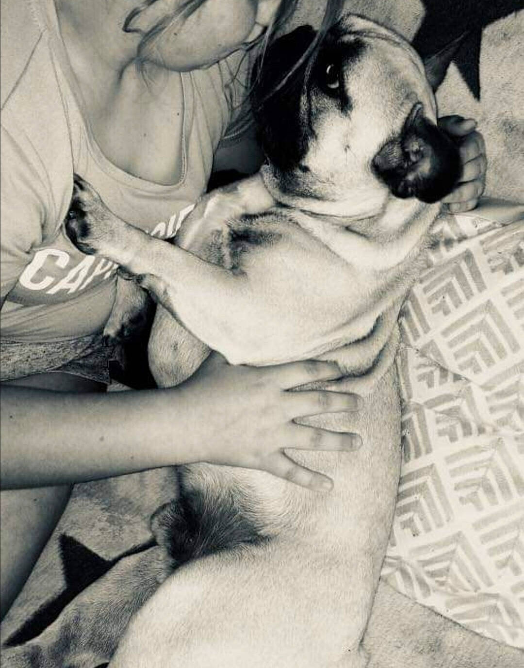 Leo a rejoint le concours — aidez-le/la à gagner de superbes lots ! bullmastiff, canidae, carnivore, dog, dog_breed, ear, fawn, hug, interaction, love, muscle, non_sporting_group, puppy_love