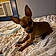 Paco