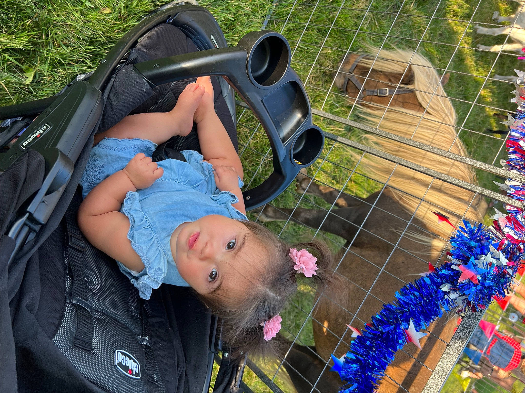 Amiyah joined the competition — help win amazing prizes! baby, baby_carriage, baby_products, child, comfort, eyewear, fun, grass, happy, leaf, leisure, people_in_nature, person, recreation, sitting, snapshot, sunglasses, toddler, travel, tree