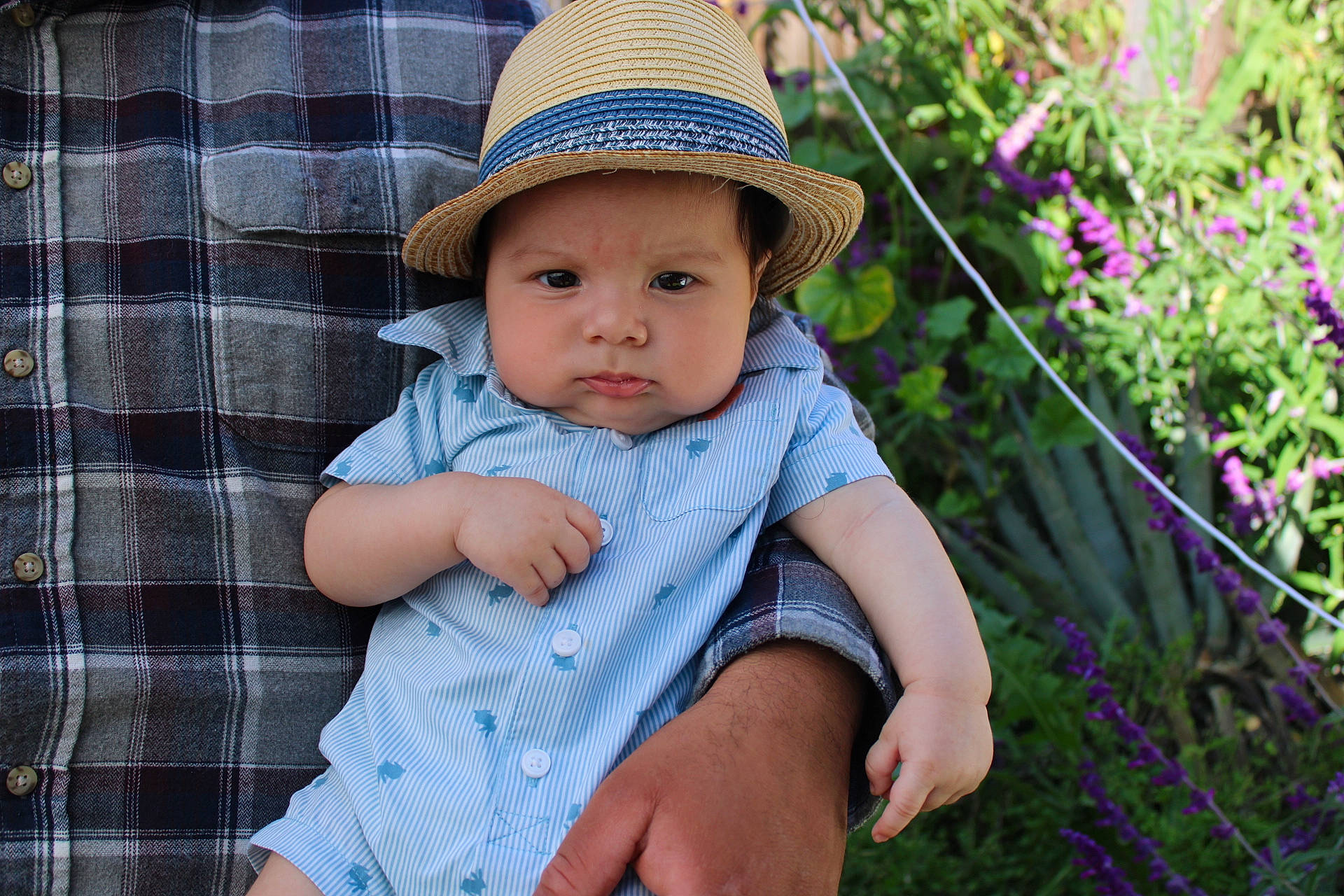 Eduardo joined the competition — help win amazing prizes! annual_plant, baby, baby_toddler_clothing, child, fashion_accessory, flower, grass, happy, hat, headgear, headwear, iris, pattern, people_in_nature, person, plaid, plant, sitting, sun_hat, tartan