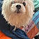 Cloe