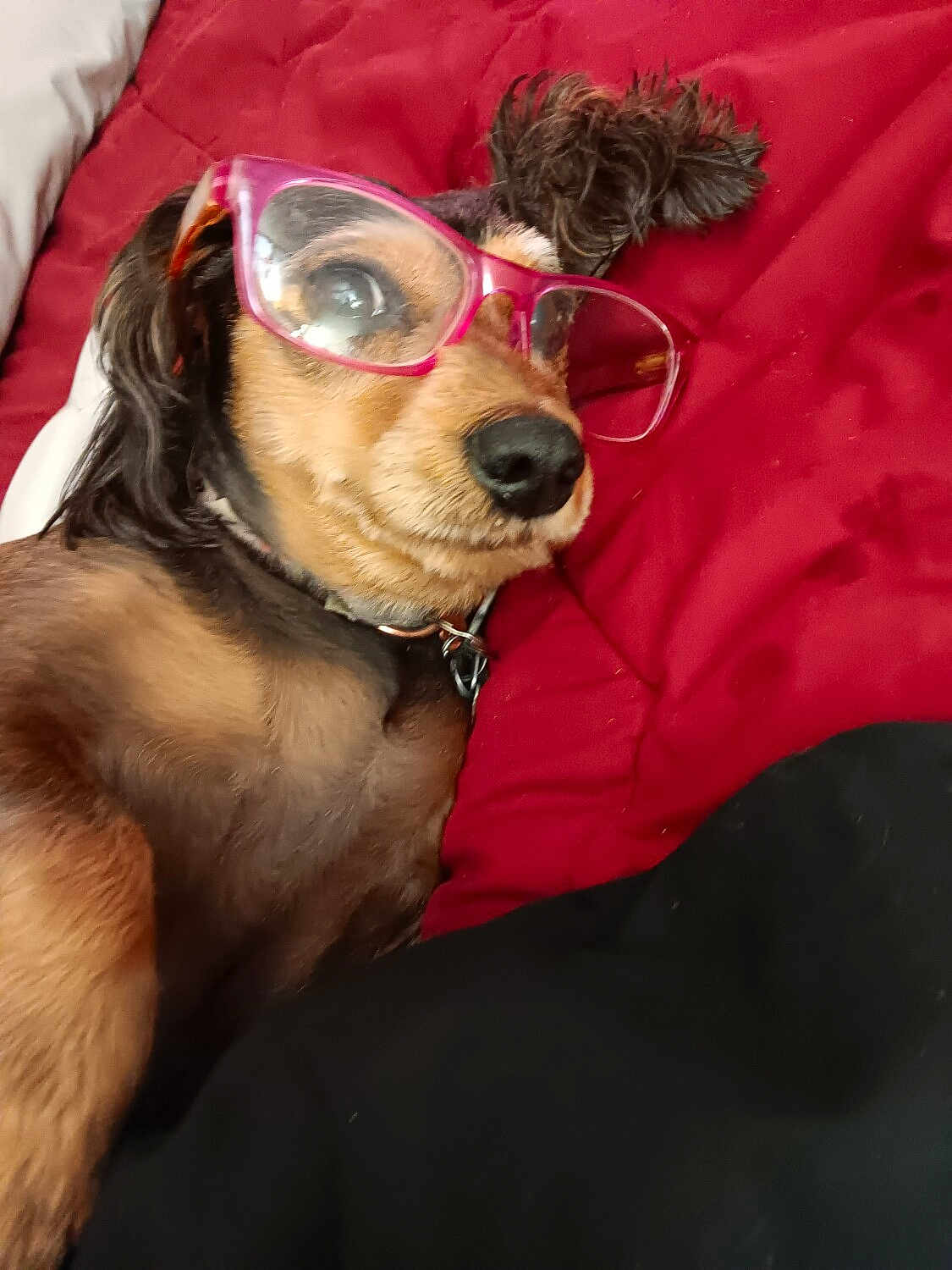 Sally Sue