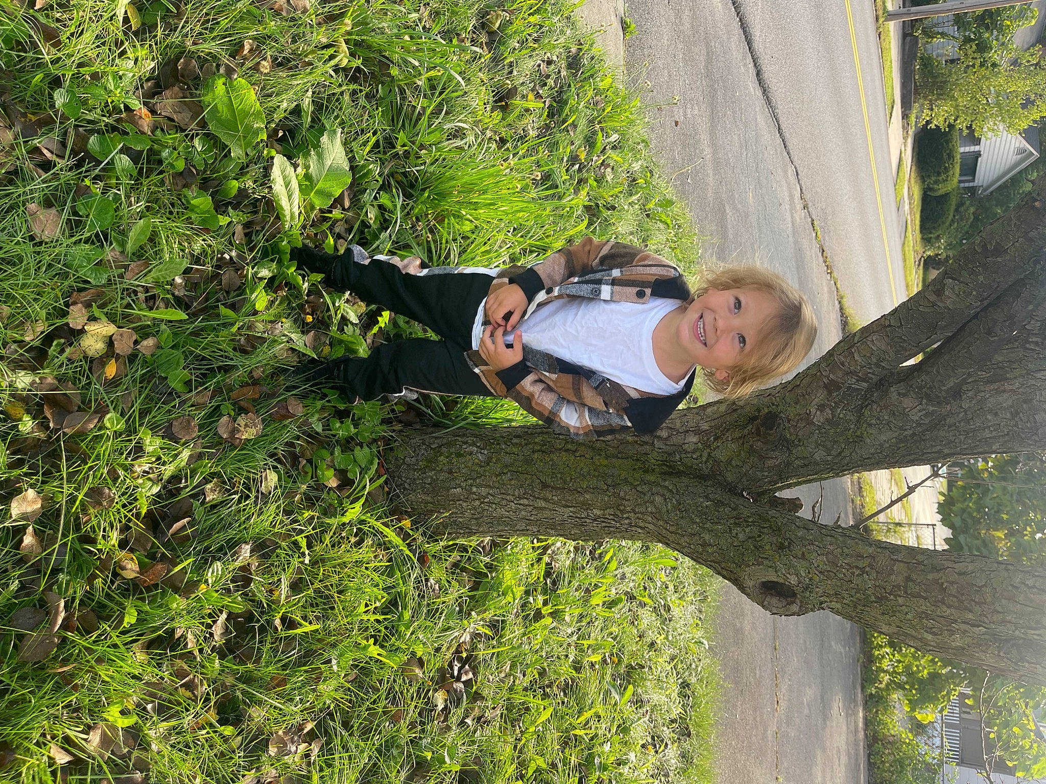 Hayden is registered to the contest to win money with this photo: forest, fun, grass, groundcover, joy, leisure, people_in_nature, person, plant, recreation, shrub, tree, trunk, twig, wood, woody_plant