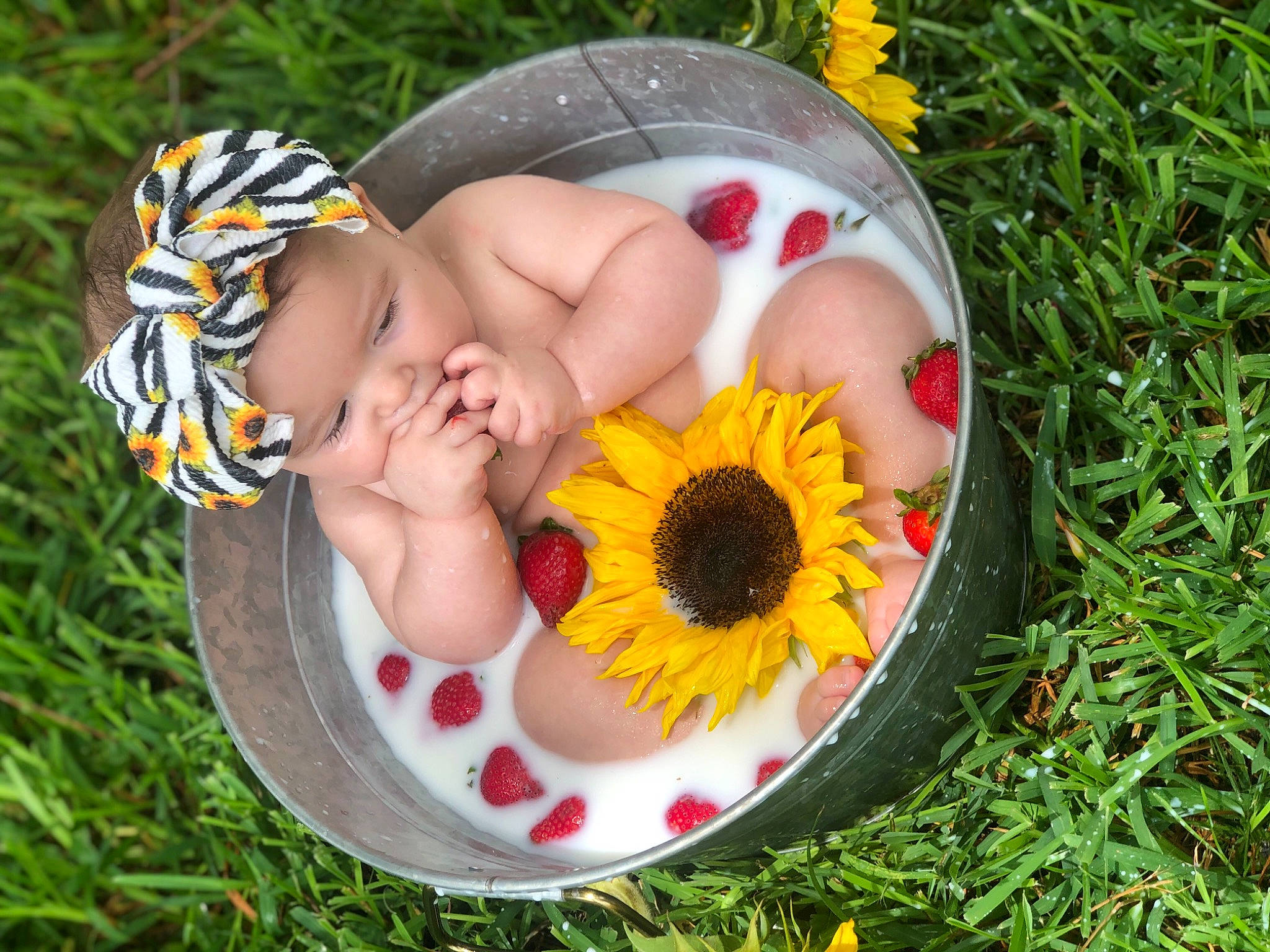 Emilee is registered to the contest to win money with this photo: baby, baby_toddler_clothing, child, daisy, flower, grass, headwear, person, plant, sunflower, toddler, wildflower, yellow