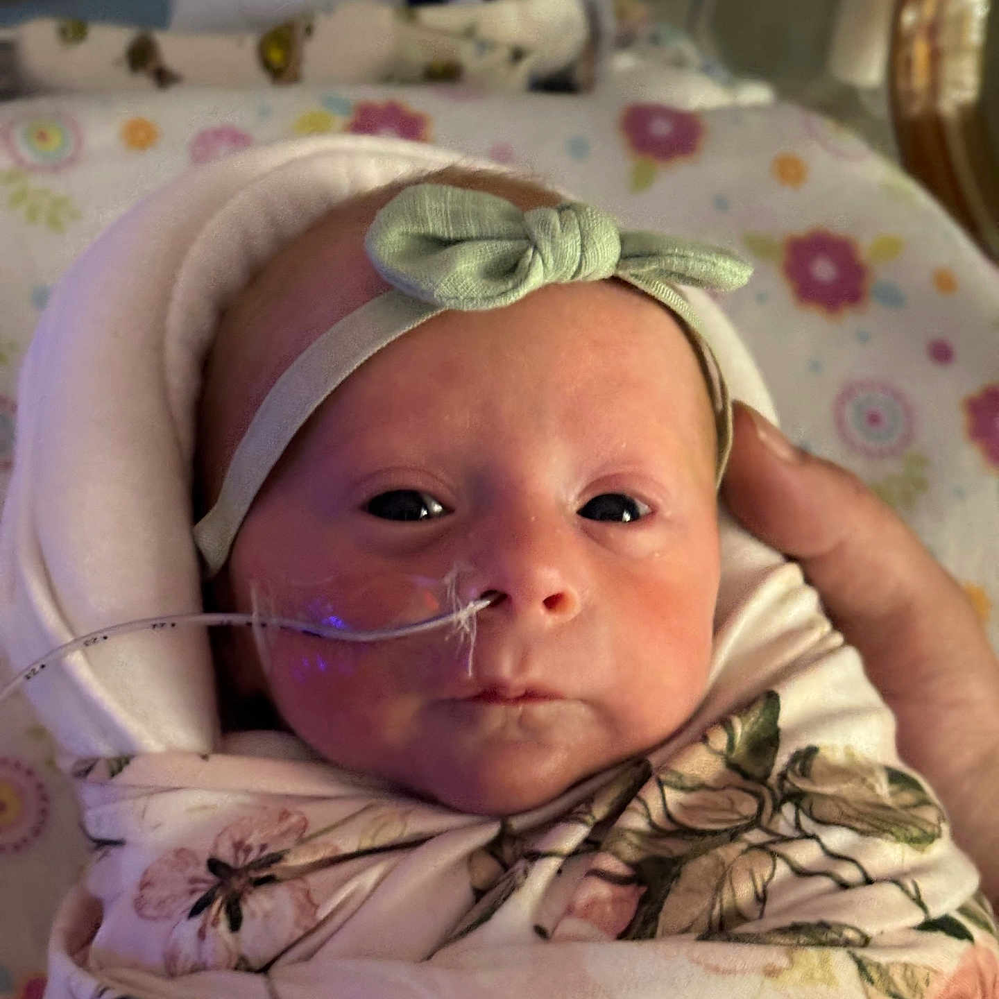 Becklynn joined the competition — help win amazing prizes! baby, blanket, bow, child, closeup, cute, face, floral_pattern, hand, headband, hospital, indoors, infant, medical_tube, newborn, person, portrait, resting, soft_lighting, swaddle