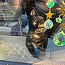 cat, kitten, black_cat, window, reflection, sunlight, yellow_eyes, curious, indoor, glass, ornaments, stars, crystals, hand_reflection, shadow, pets, animal, cute, closeup, young_cat