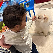 Adam a rejoint le concours — aidez-le/la à gagner de superbes lots ! child, toddler, baby, dog, pomeranian, pet, interaction, play, indoor, carpet, blue_plastic_chair, table, party_supplies, curly_hair, white_shirt, navy_pants, hand, person, cute, puppy
