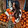 Dayana S.