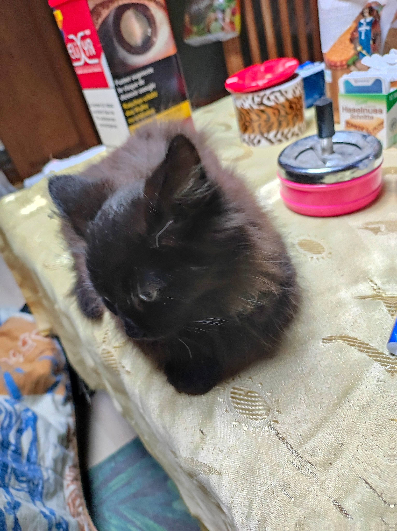 Mogway a rejoint le concours — aidez-le/la à gagner de superbes lots ! black_cat, bombay, box, canidae, carnivore, cat, cat_supply, comfort, companion_dog, dog_breed, domestic_short_haired_cat, felidae, fur, linens, plate, small_to_medium_sized_cats, sporting_group, tableware, tail, whiskers