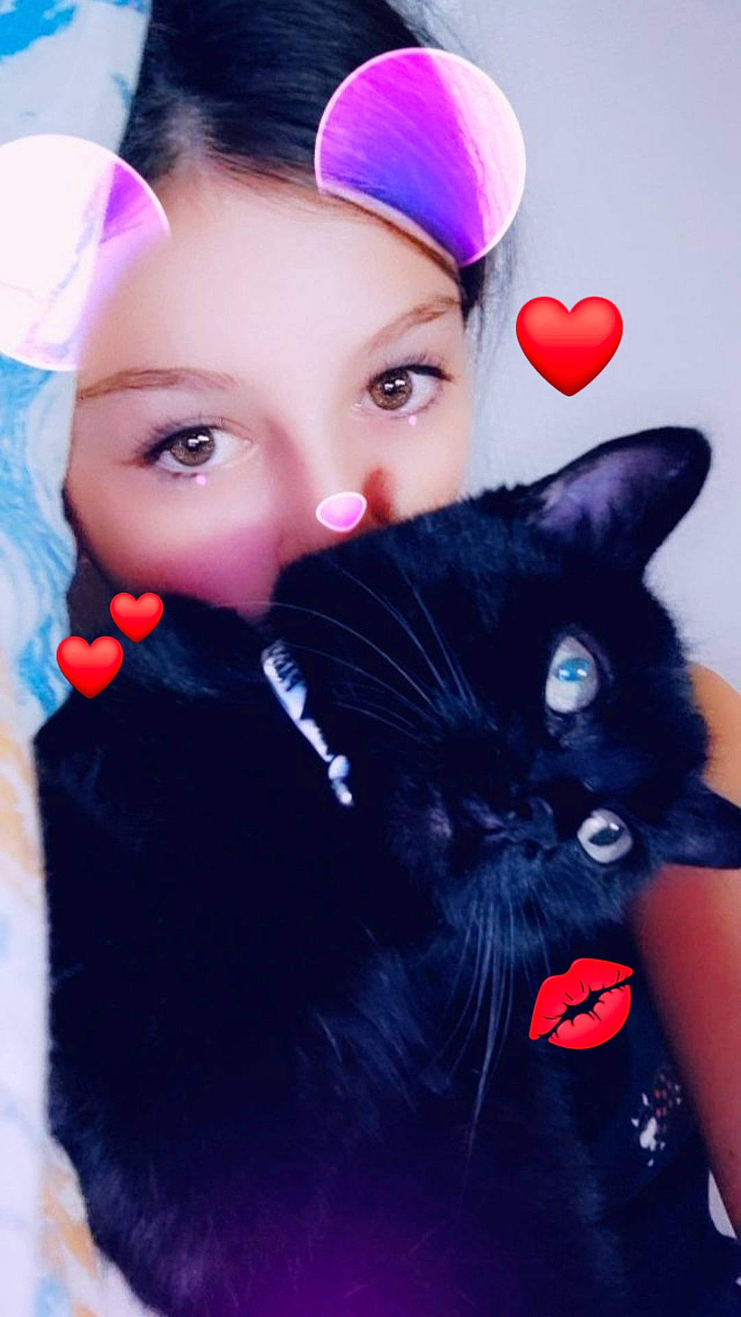 Bagghera a rejoint le concours — aidez-le/la à gagner de superbes lots ! beanie, cap, carnivore, cat, costume_accessory, electric_blue, eyelash, fashion_accessory, felidae, fur, gesture, happy, headpiece, knit_cap, magenta, organ, selfie, small_to_medium_sized_cats, whiskers, wig