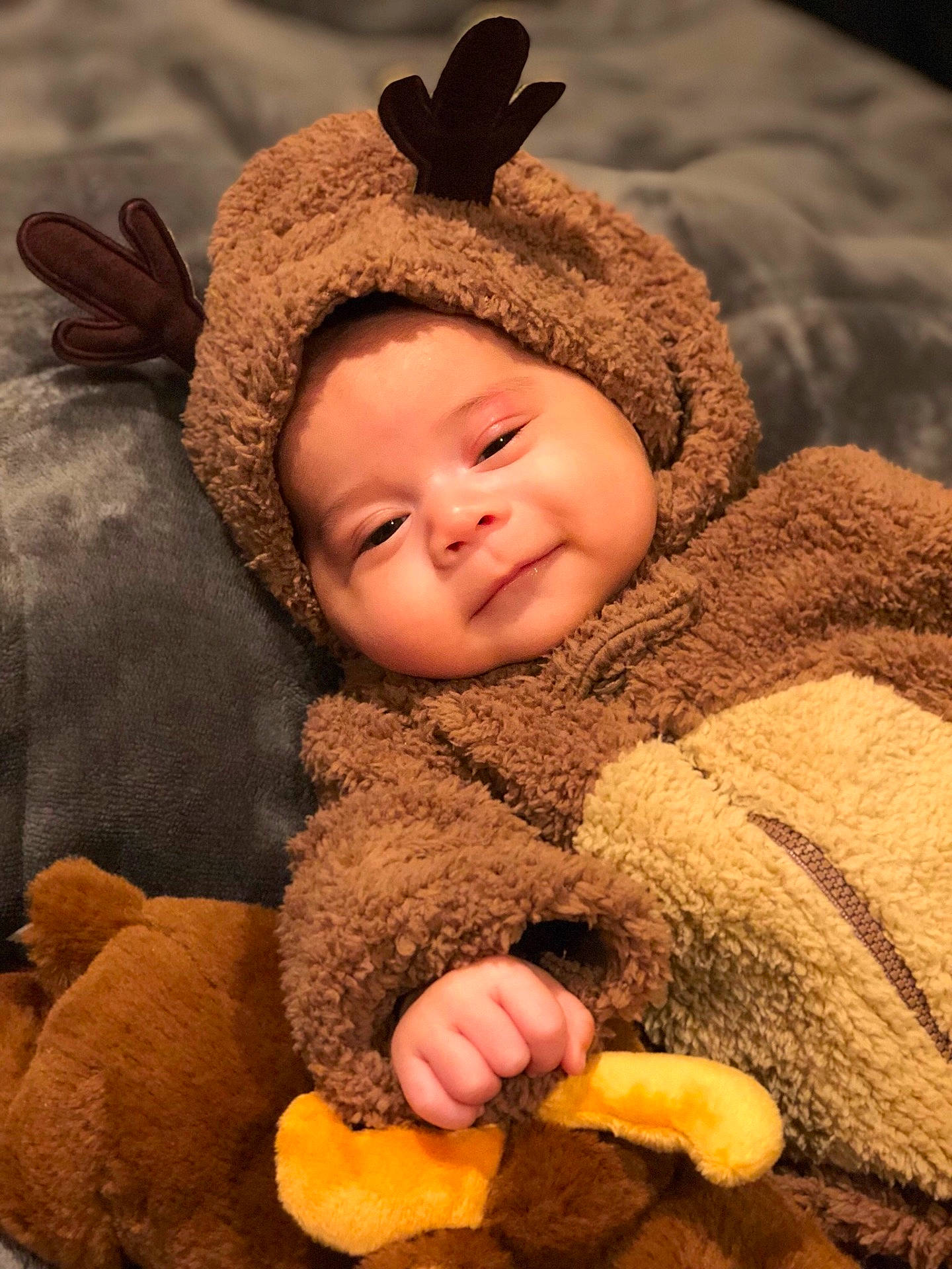 Draven joined the competition — help win amazing prizes! child, fur, infant, person, snout, stuffed_toy, teddy_bear, toddler