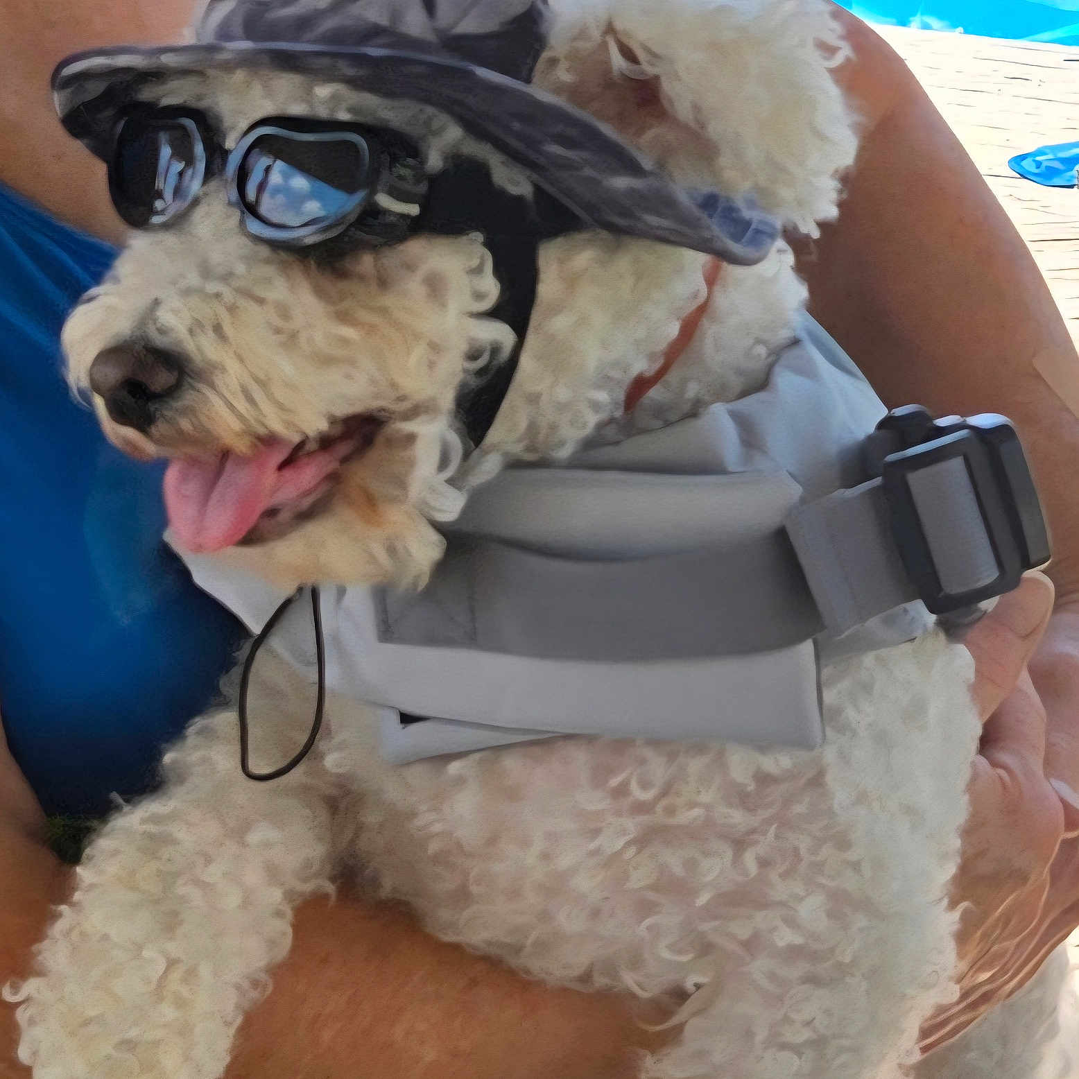 Ralphie