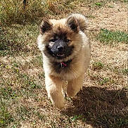 Lumina Des Criniere De Feu participe au concours pour gagner de l'argent avec cette photo :