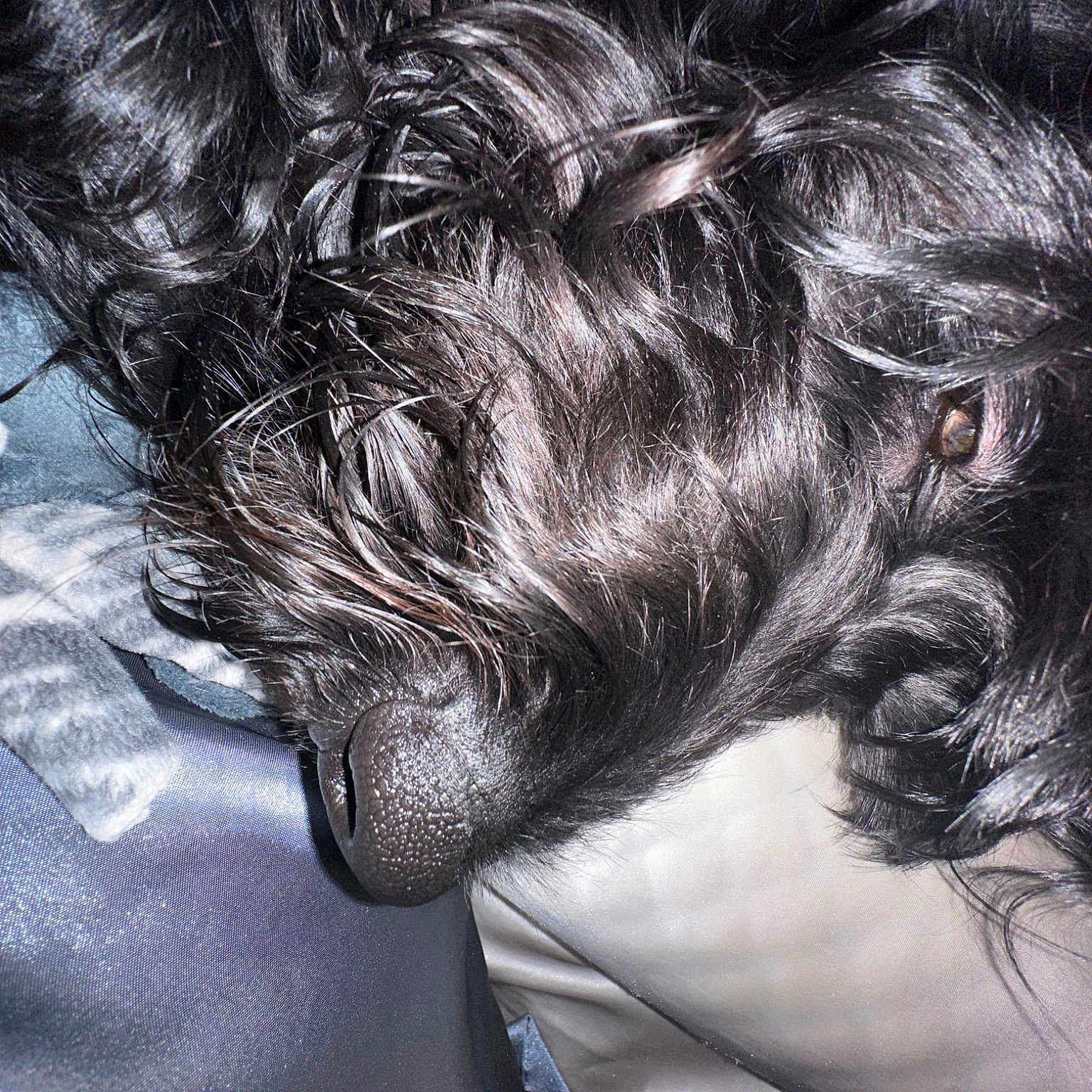 Slim Jim joined the competition — help win amazing prizes! back, black_hair, braid, bun, darkness, eyelash, flesh, grey, hair_coloring, monochrome, monochrome_photography, tints_and_shades, visual_arts, wrinkle